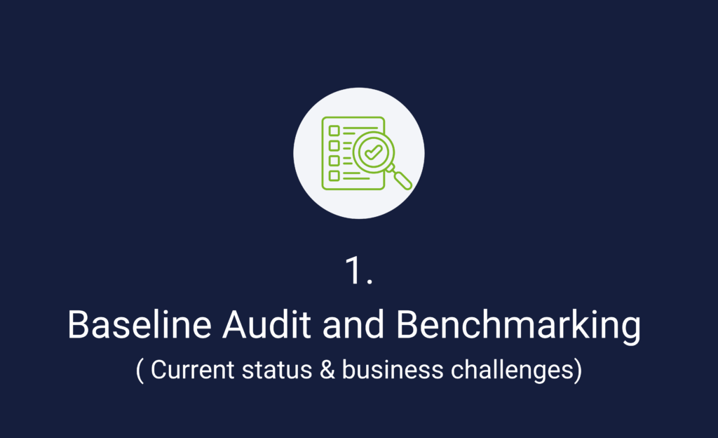 1. Baseline Audit and Benchmarking (Current status & business challenges)